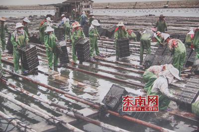 文脉传承 莆田市第十个中国文化遗产日系列活动今启动，专家坐镇文物鉴定